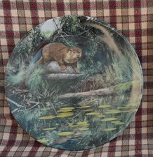 Collector Plate Otter Water