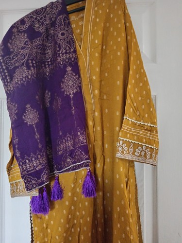 Asian pakistani partywear - pakistani,