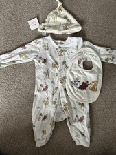 Baby Grow Lion King With Hat