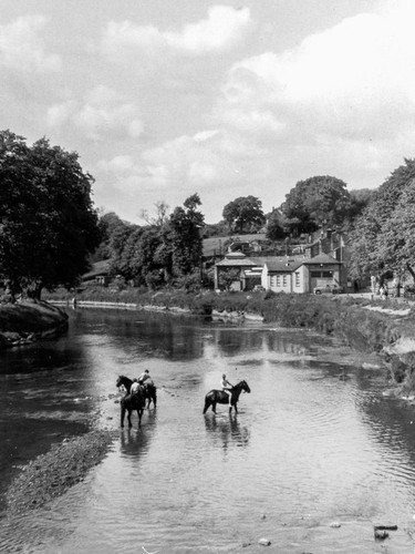 Photo 6x4 appleby horse - 6x4, fair