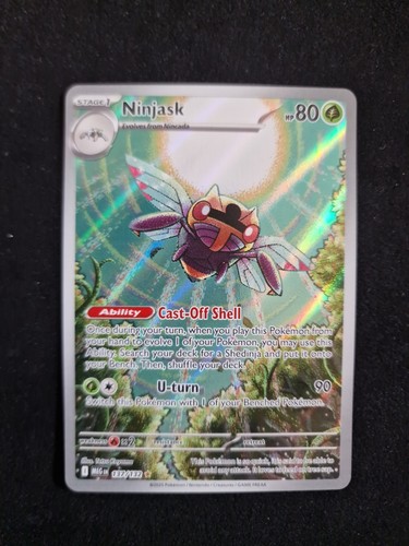 Pokemon ninjask illustration - pokemon,