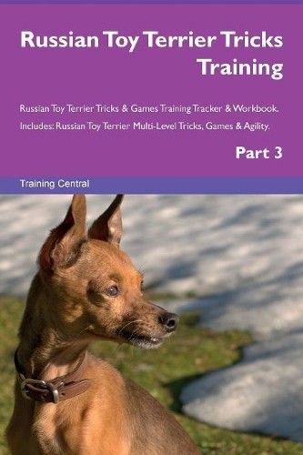 Russian toy terrier - russian,