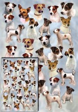 Parson/Jack Russell Terrier Dog Gift Wrapping by Starprint - 1 sheet + gift card