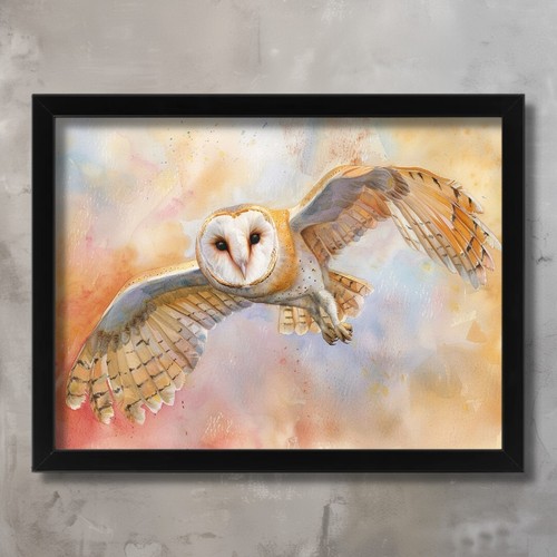 Mesmerizing barn owl - mesmerizing,