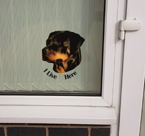 Rottweiler live here - "i, here"