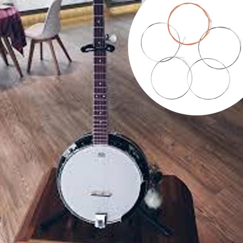 Five string banjo - string, strings