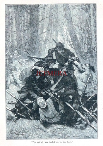 Boys own paper the fight - 'the,
