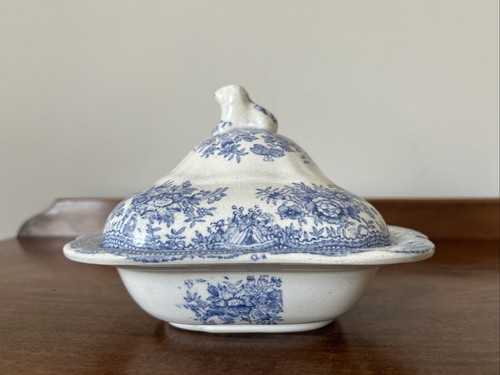 Antique asiatic pheasant small - antique,