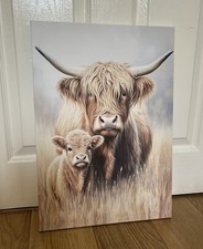 New cute highland cow mother - highland,