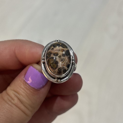 Beautiful rare fossilised - beautiful,
