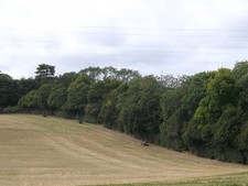 Photo A3 Quad bikes in