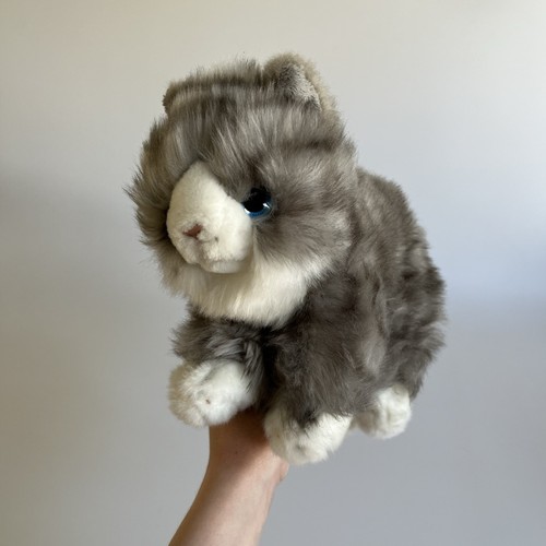 Keel signature cuddle kittens - cuddle,