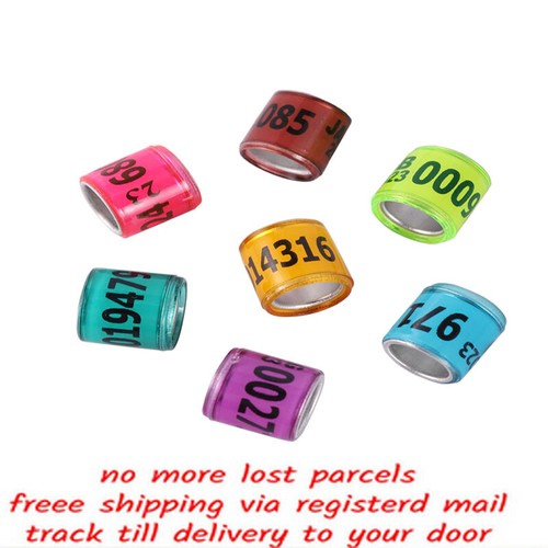 2026 bird foot - 2026,