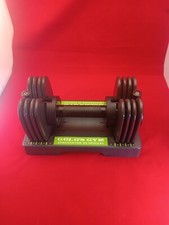 DUMBBELLS GOLD'S GYM