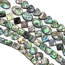 Green abalone shell mother - shell,