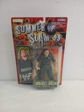 WWE Wrestling Figure Paul