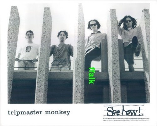 Press photo tripmaster monkey - photo:,