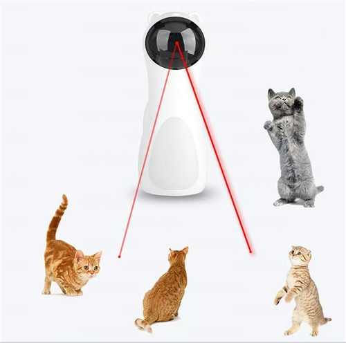 Automatic cat toys - automatic,