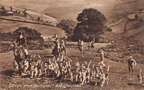 Postcard devon and somerset - devon,