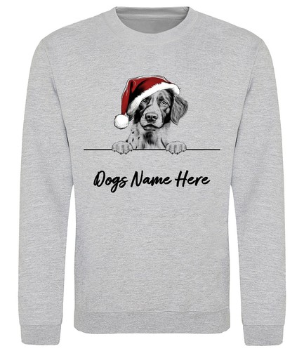 Brittany spaniel personalised - spaniel,