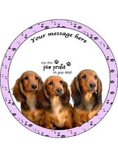 Personalised dachshund puppies - dachshund,