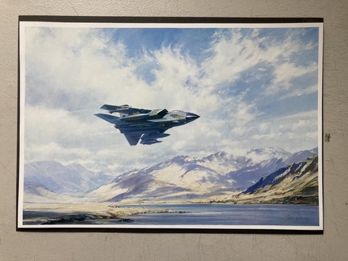 Military aviation print mud - aviation,