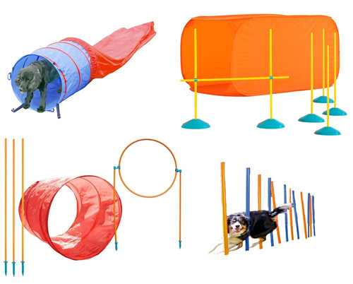 Outdoor indoor dog pet - dog, agility