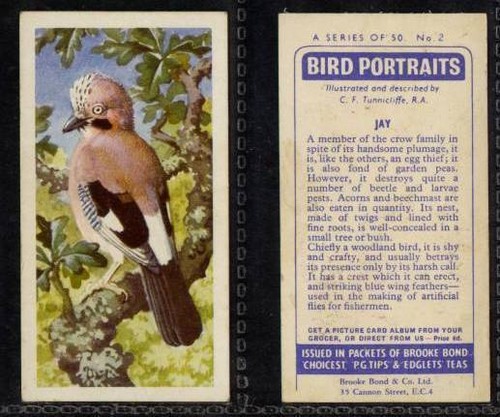 Brooke bond bird portraits - bird,