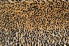 Animal Print Fun Faux Fur