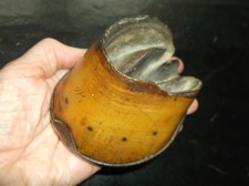 A RARE ANTIQUE TAXIDERMY SMALL