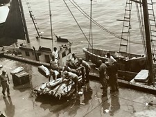 Vintage Photo Reprint