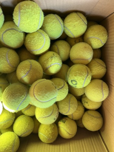 Used tennis balls - used, good