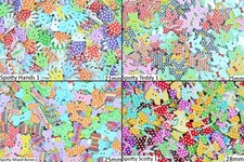 Wooden Buttons Spotty Printed