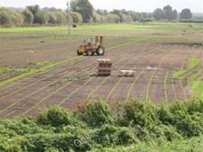 Photo 6x4 After the turf