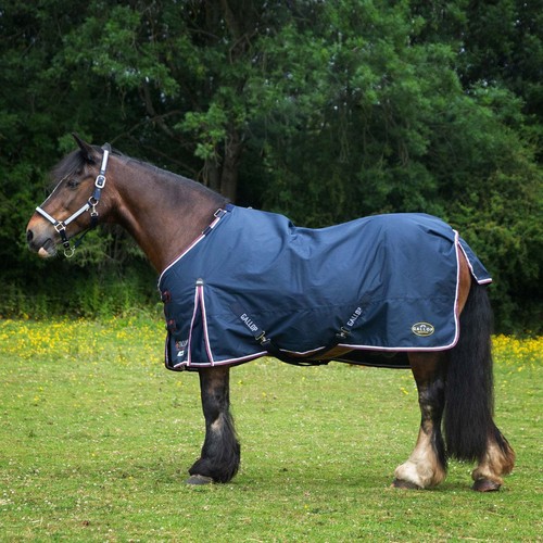 5ft gallop trojan - 6",