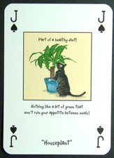1 x playing card Magnificent