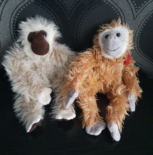 Keel monkeys 9 - keel,
