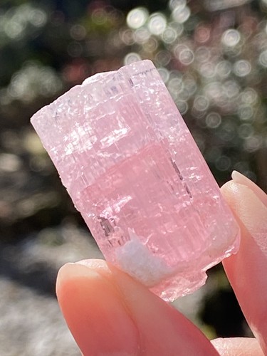 Bubblegum pink paprok - pink,