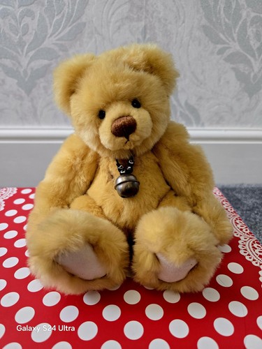 Charlie bears ryan 2007 - charlie,