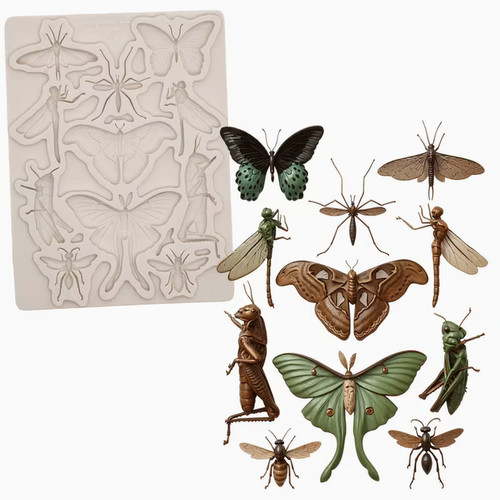 Insect silicone mould - insect,