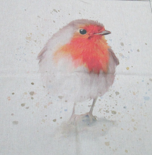 Cheeky rustic red robin - x,