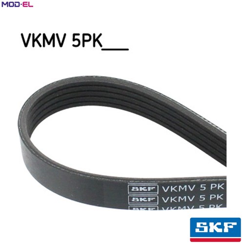 Vribbed belt vkmv 5pk1219 - vkmv,