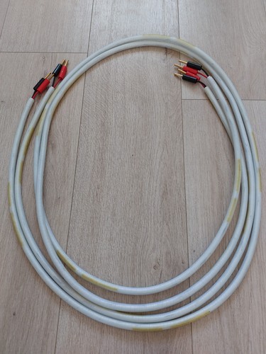 Chord carnival silver - silver, screen