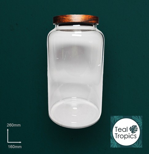Clear terrarium glass jar - ,