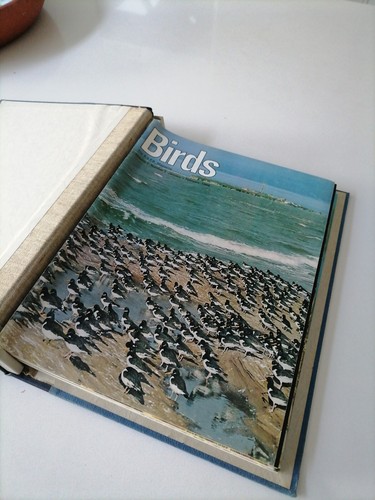 Rspb birds magazines vintage - birds,