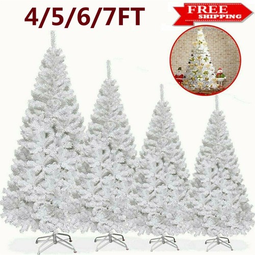 White christmas tree - pine,