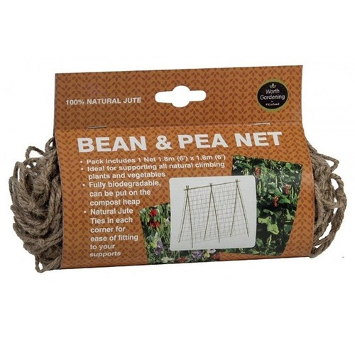 Garland pea bean - garland,