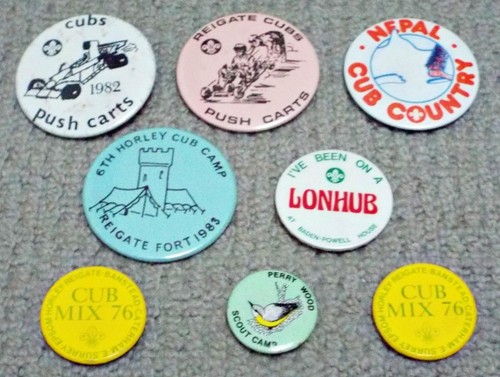 Boy scouts cubs - boy, group