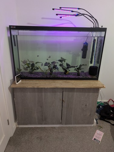 This full setup with - this,