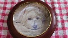 Danbury Mint Someone to comfort poetry of the westie decorative plate framed